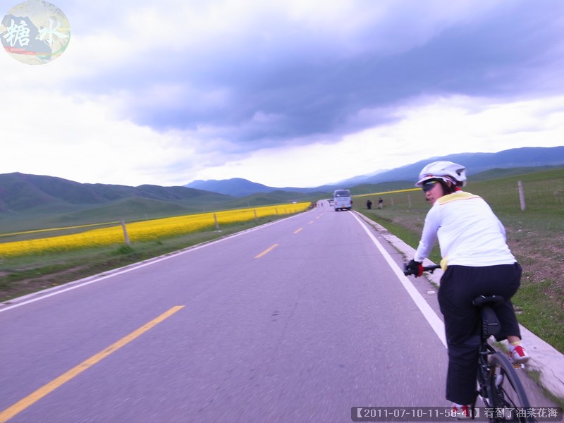 【2011-07-10-11-58-41】看到了油菜花海.jpg