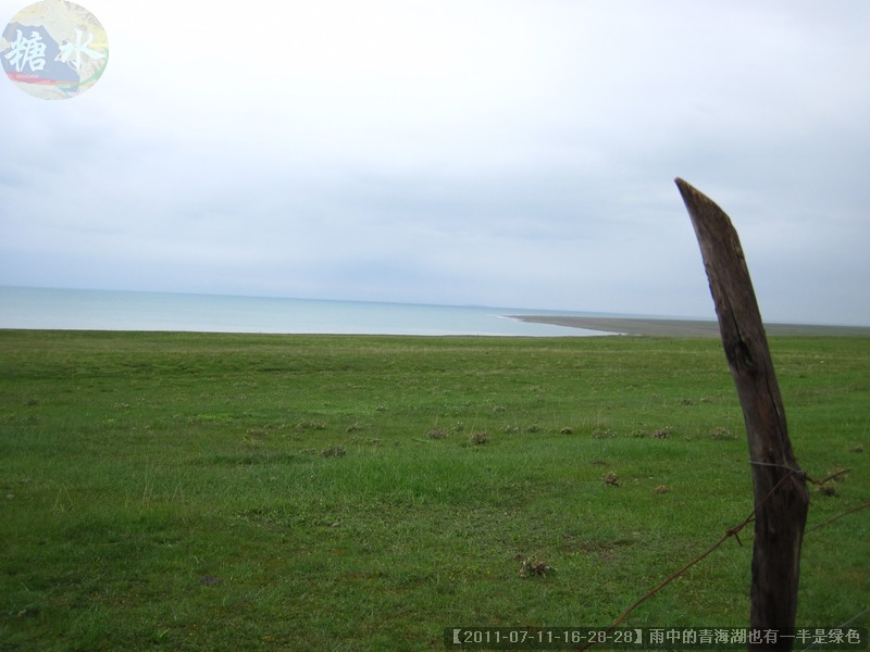 【2011-07-11-16-28-28】雨中的青海湖也有一半是绿色.jpg