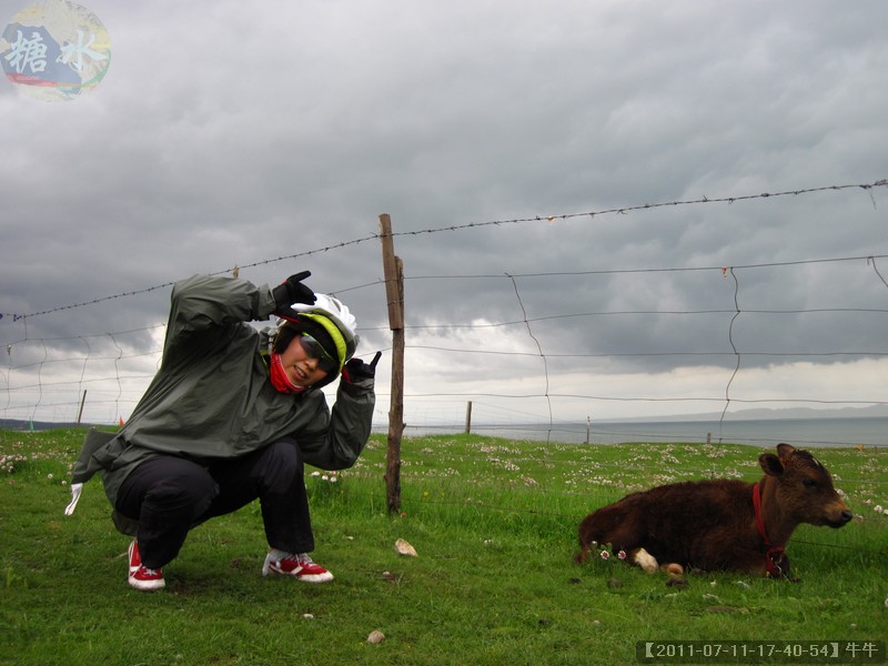 【2011-07-11-17-40-54】牛牛.jpg