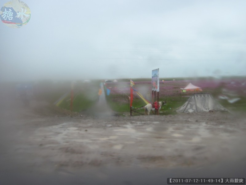 【2011-07-12-11-49-14】大雨朦胧.jpg