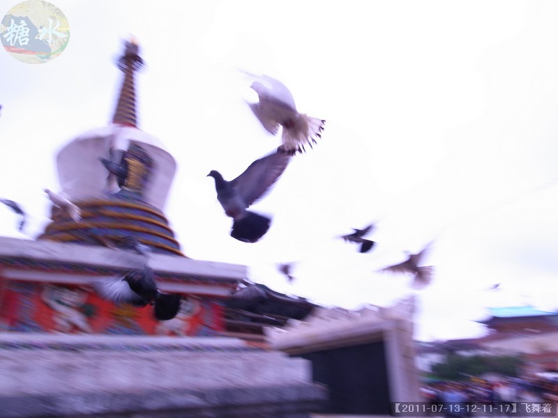 【2011-07-13-12-11-17】飞舞着.jpg