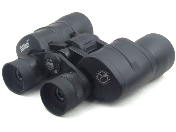 bushnell8×40.jpg