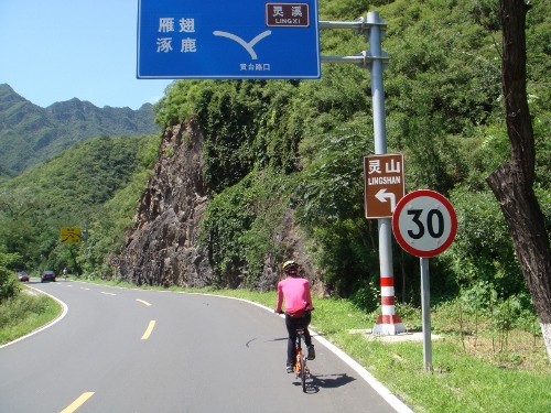 DSC02667 (500x375).jpg