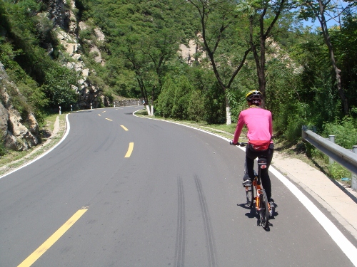 DSC02676 (500x375).jpg