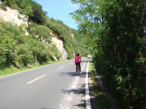 DSC02679 (500x375).jpg