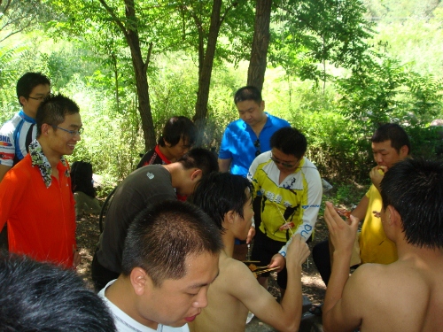 DSC02687 (500x375).jpg