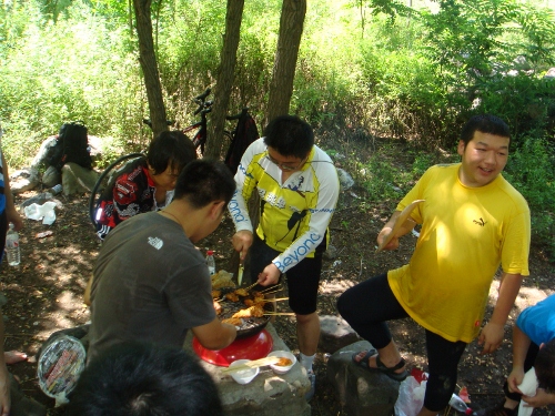 DSC02694 (500x375).jpg