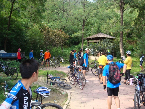 DSC02695 (500x375).jpg