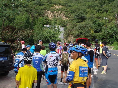 DSC02700 (500x375).jpg