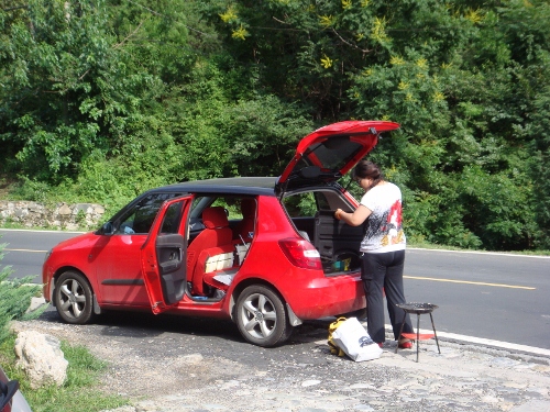 DSC02698 (500x375).jpg