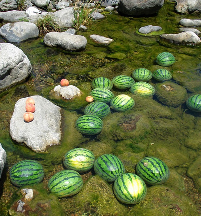 水里泡着西瓜和桃子.jpg