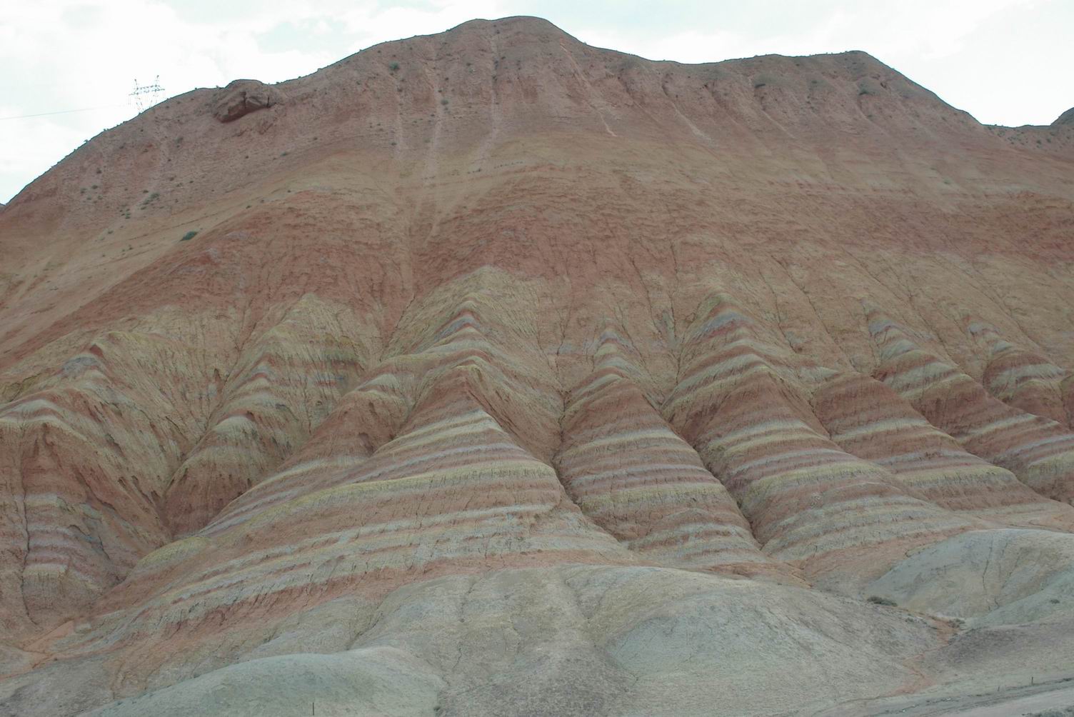 调整大小 IMGP8827.jpg