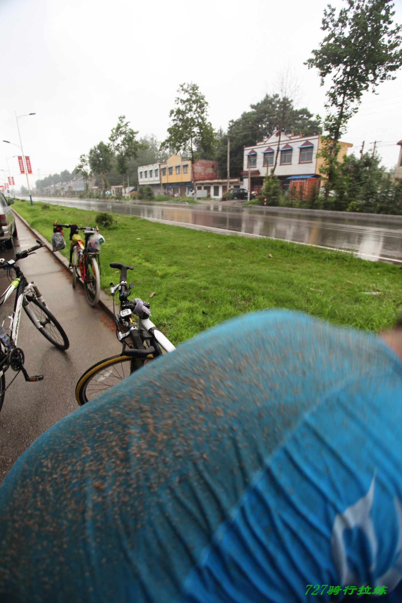 conew_img_1973.jpg