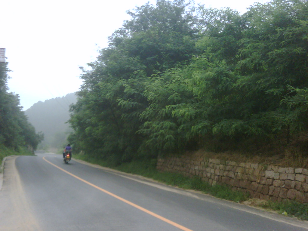 IMG00703-20110813-0950.jpg