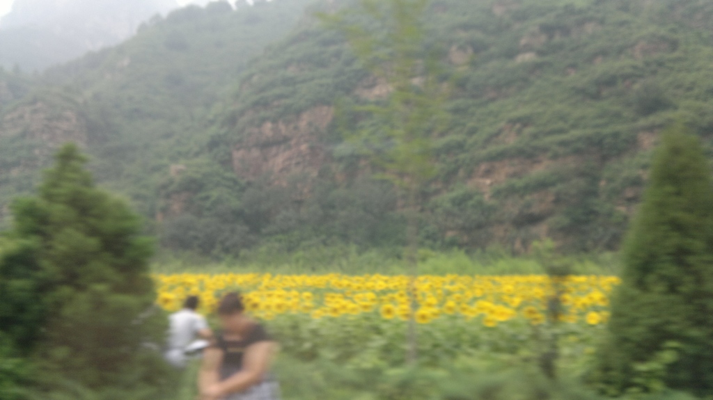 20110813147.jpg
