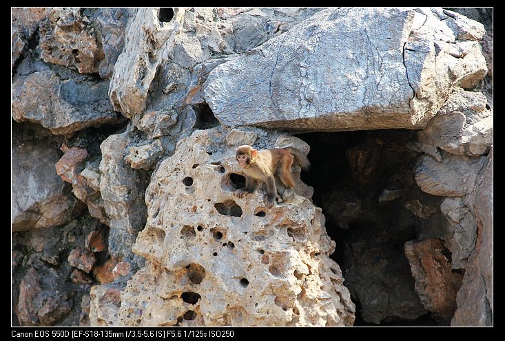 nEO_IMG_照片 161.jpg