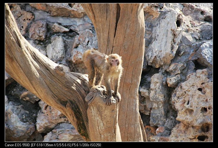 nEO_IMG_照片 162.jpg