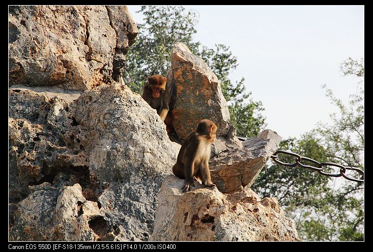 nEO_IMG_照片 164.jpg