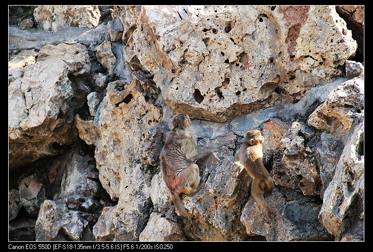 nEO_IMG_照片 166.jpg