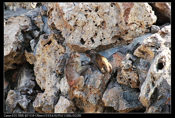 nEO_IMG_照片 167.jpg