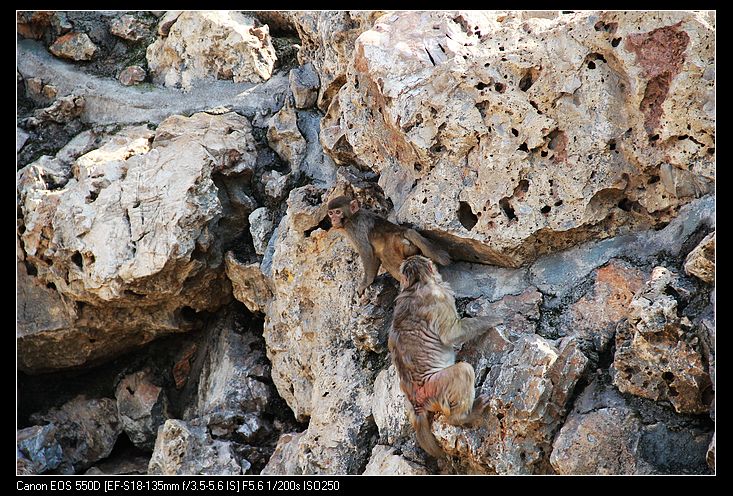 nEO_IMG_照片 168.jpg