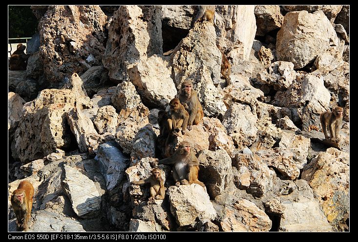 nEO_IMG_照片 180.jpg