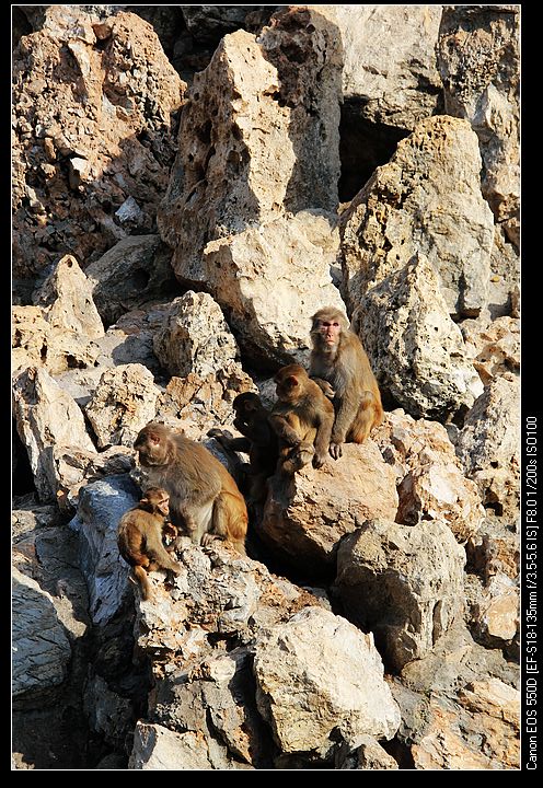 nEO_IMG_照片 181.jpg