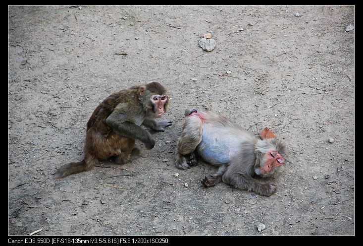 nEO_IMG_照片 148.jpg