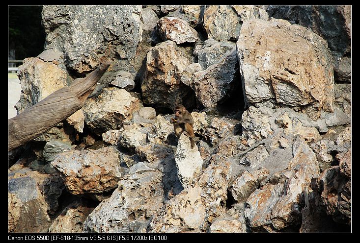 nEO_IMG_照片 150.jpg