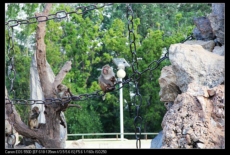 nEO_IMG_照片 151.jpg