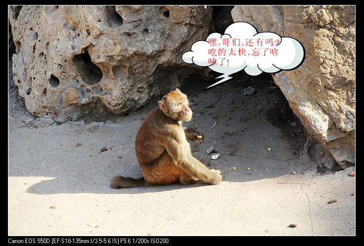 7_照片 177_副本.jpg