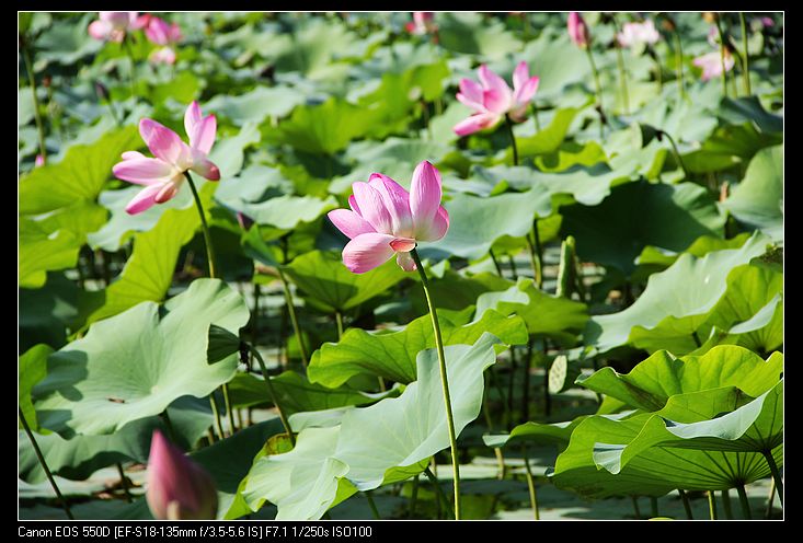 nEO_IMG_照片 146.jpg