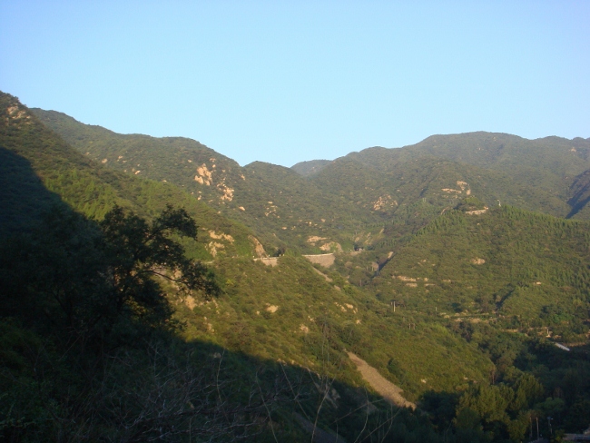 DSC05206 (650x488).jpg