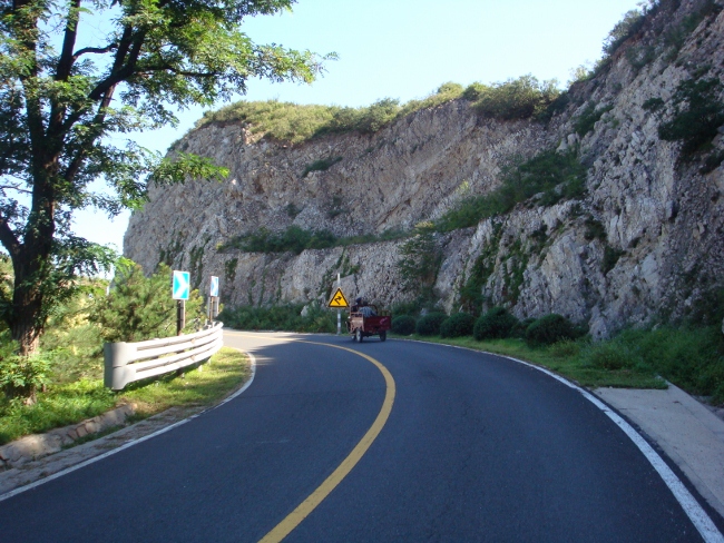 DSC05239 (650x488).jpg