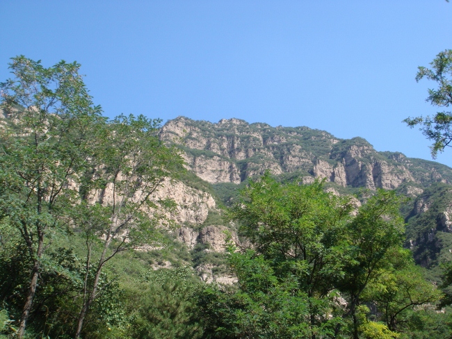 DSC05252 (650x488).jpg