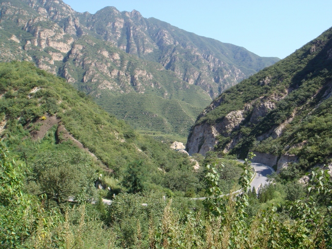 DSC05254 (650x488).jpg
