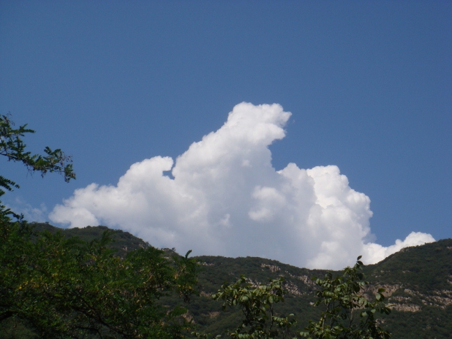 DSC05262 (650x488).jpg