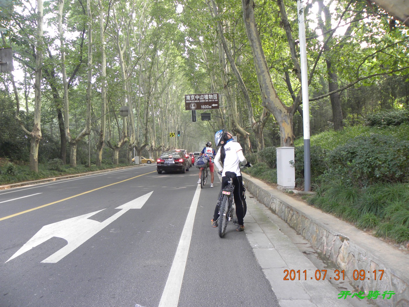 不知汪逸在看什么