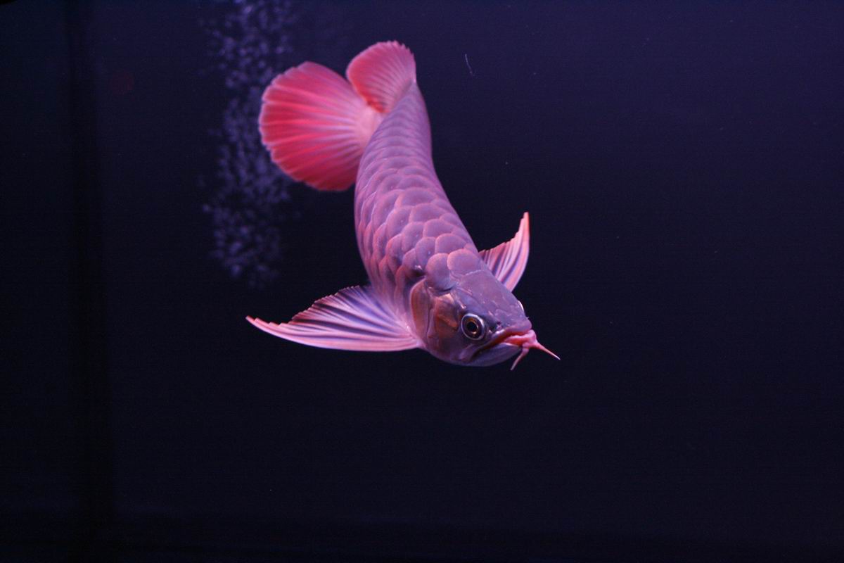 调整大小 _MG_9341.jpg