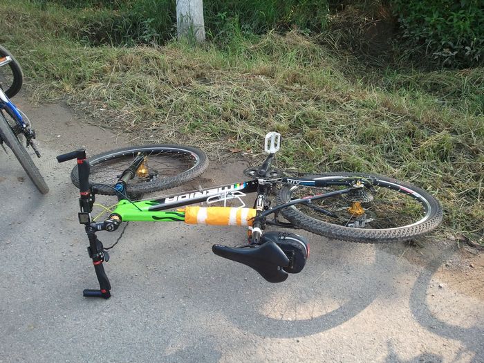 nEO_IMG_C360_2011-08-27 08-44-52.jpg