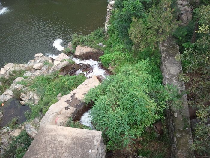 nEO_IMG_C360_2011-08-27 12-53-13.jpg