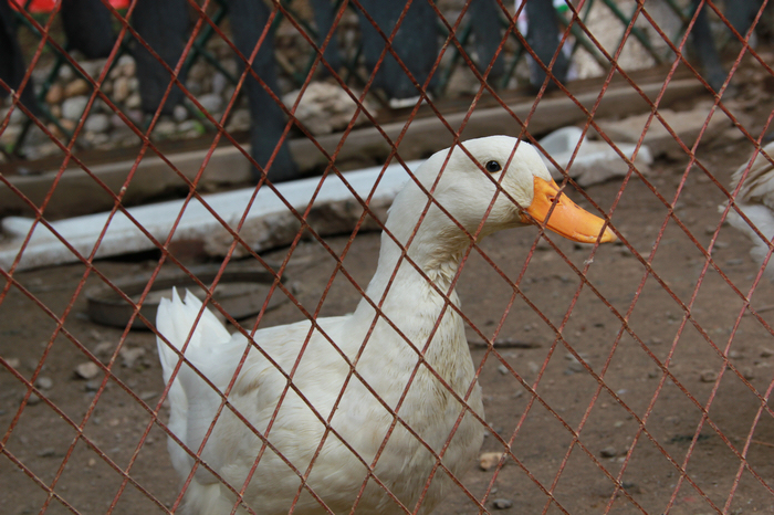 nEO_IMG_nEO_IMG_IMG_0636 (164).jpg