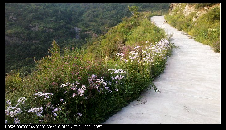 【崎岖的之字形山路，每次来这里我总是安静的不得了】