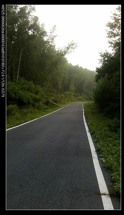 【安静的归路，剩下的依然是安静！】