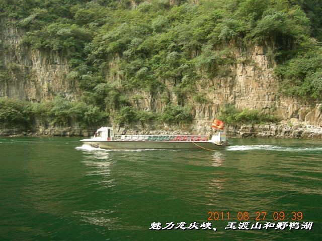 BigBull_DSCN0091.JPG
