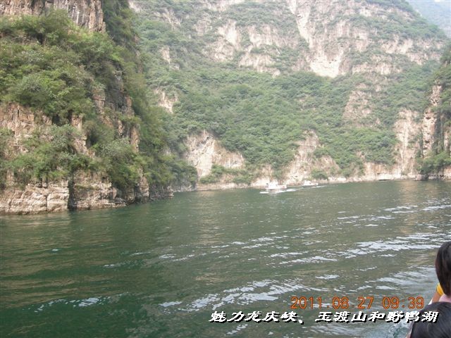 BigBull_DSCN0092.JPG
