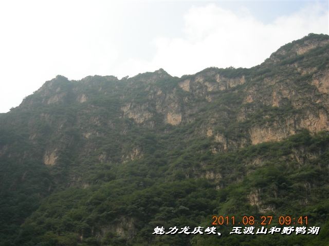 BigBull_DSCN0096.JPG