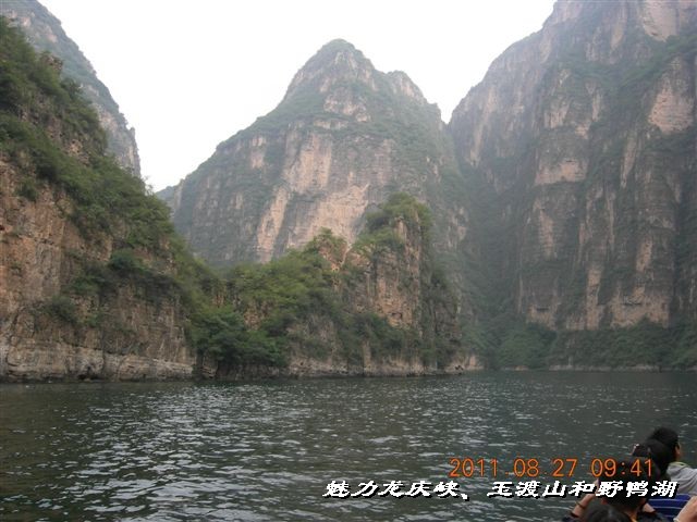 BigBull_DSCN0098.JPG