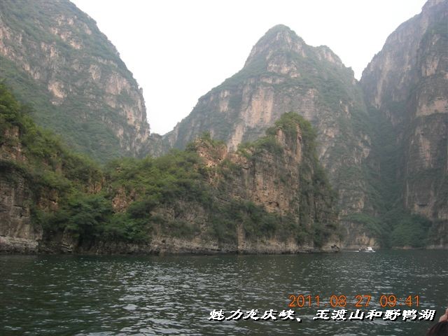 BigBull_DSCN0099.JPG