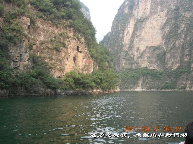 BigBull_DSCN0100.JPG
